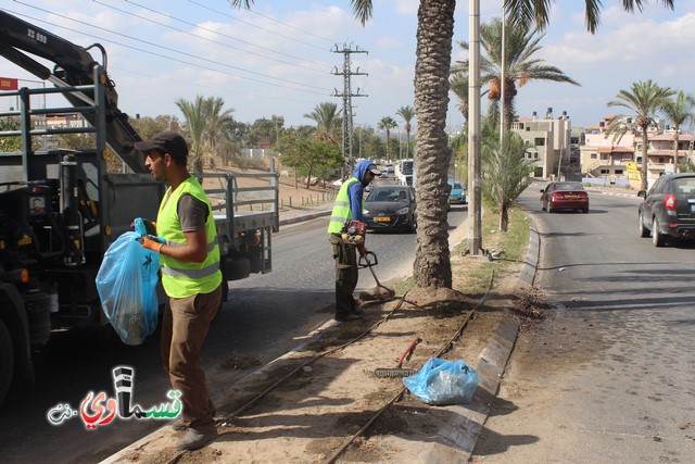 فيديو - كفر قاسم :  بعد النشر في قسماوي نت  البدء بالمراحل الاولى من البستنة والتشجير في جزر مدخل المدينة 